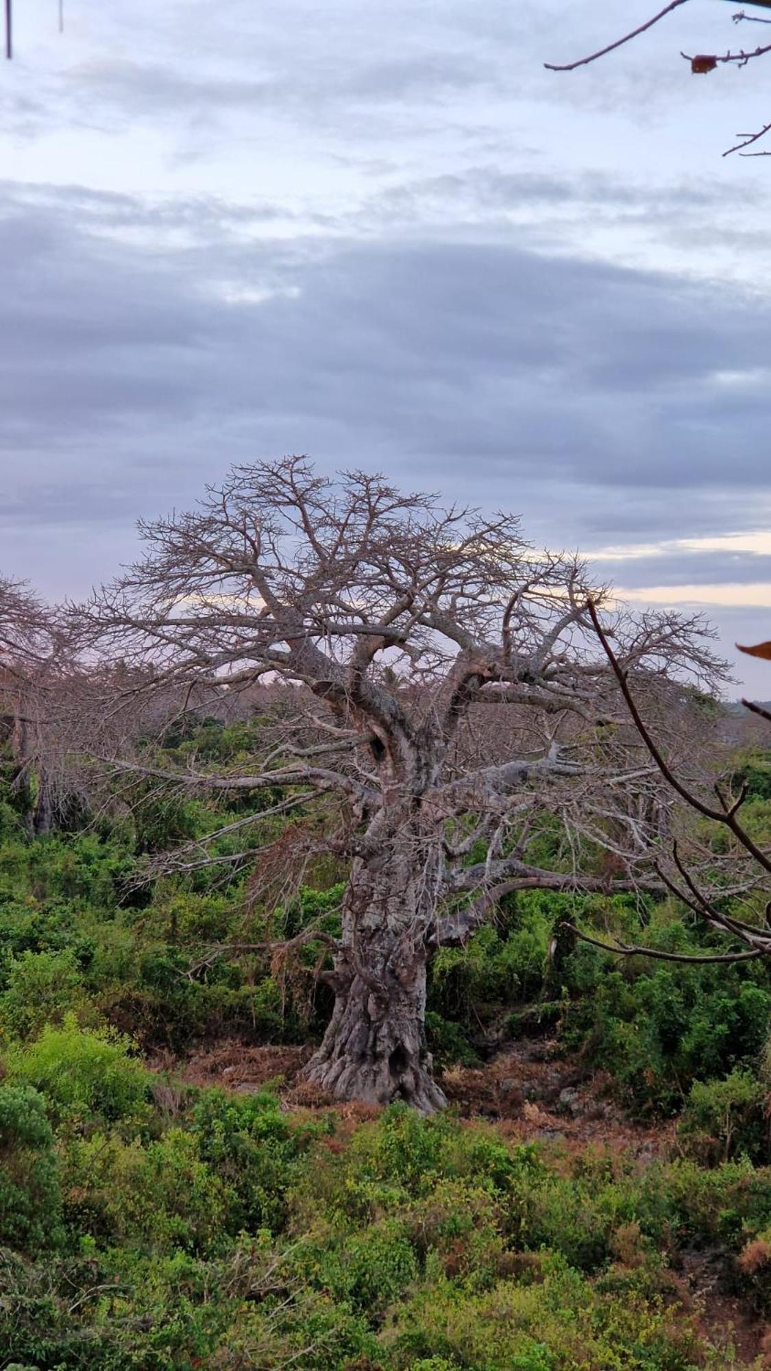 Monkey Mountain Lodge Mtende Dış mekan fotoğraf