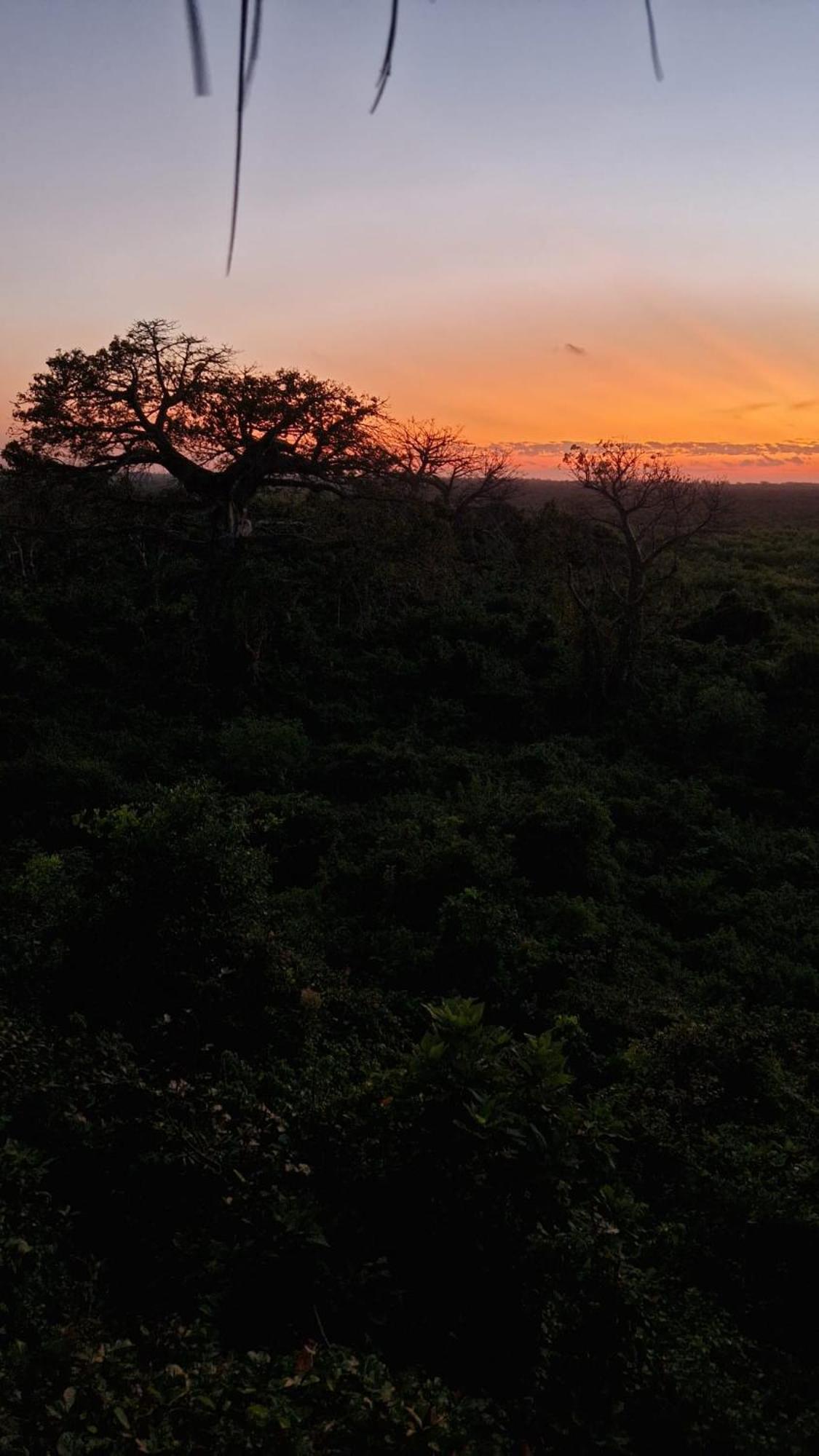 Monkey Mountain Lodge Mtende Dış mekan fotoğraf